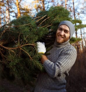 dublin Property Services removing christmas trees