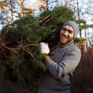 dublin Property Services removing christmas trees