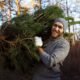 young man is carrying christmas tree in the wood men with a beard bears home a christmas tree  80x80