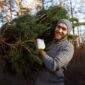 young man is carrying christmas tree in the wood men with a beard bears home a christmas tree  85x85