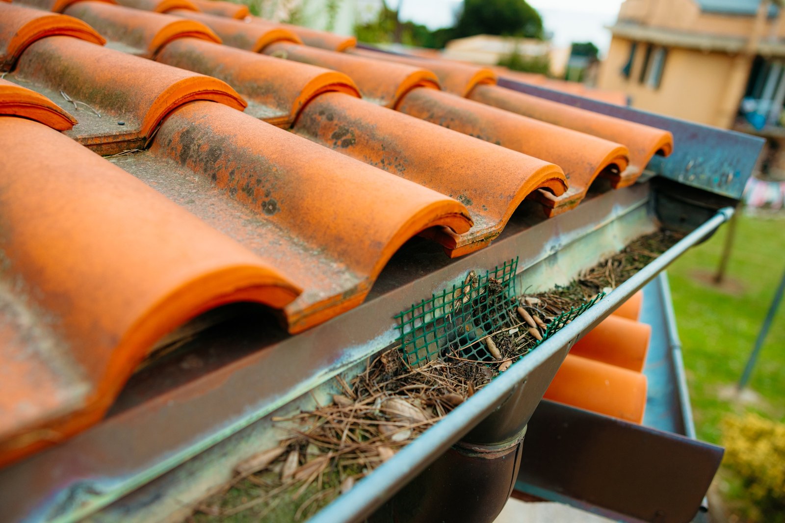 Clogged gutters need cleaning in Wicklow