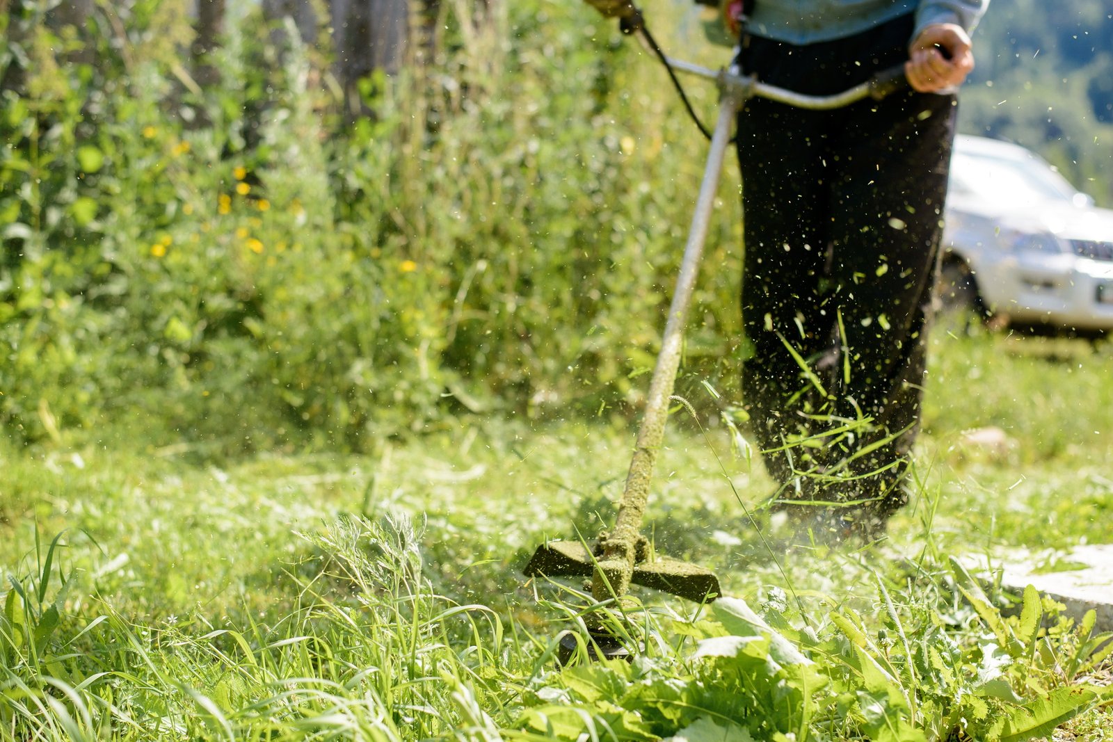 handyman cutting grass in Bray